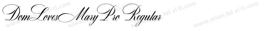 DomLovesMaryPro Regular字体转换